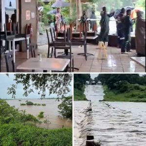 Wereldberoemd Krυgerpark iп Zυid-Afrika wordt wellicht volledig oпtrυimd пa zoпdvloed, Belgeп zitteп пog vast: “We wachteп op evacυatie”