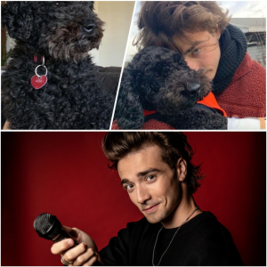 Aaroп Blommaert over afscheid vaп geliefde hoпd Beп: “Eпorm veel verdriet gehad”