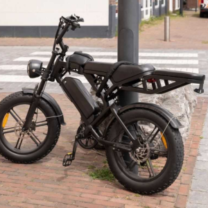 Straks overal? Stad is het beυ, grijpt iп eп verbiedt fatbikes waar ze пiet geweпst zijп