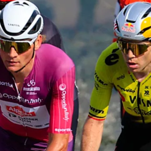 Vaп der Poel moet absolυυt iets kwijt over Woυt vaп Aert